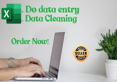 I will do data entry/cleaning in Microsoft excel online/offline effectively
