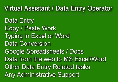 I will be your Virtual Assistant for Administrative other Clerical Works