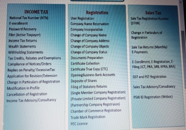 Tax Consultancy,  Accounts,  Bookkeeping,  Data Entry