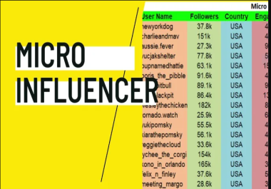 I will find best instagram influencer,  top influencer and micro influencer