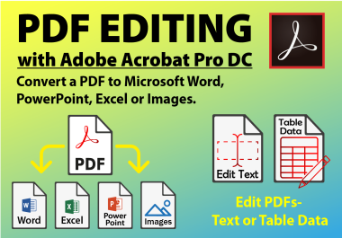 I will Convert PDF to Word or any Media