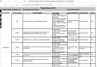 Write test cases and test scenarios for your product.