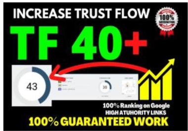 Off-Page SEO I will increase trust flow tf 40 skyrocket ranking