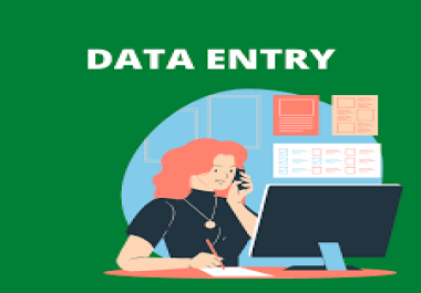 I will do data entry for you MS Excel Entry Expert