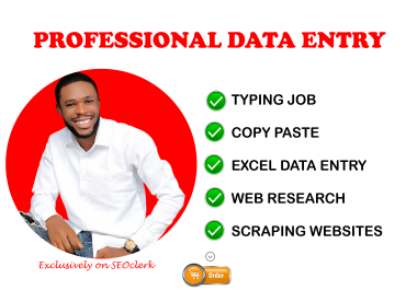 I will do excel data entry,  copy paste,  PDF to excel,  web research and typing