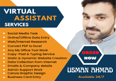 I will be your professional virtual assistant for 12 hours