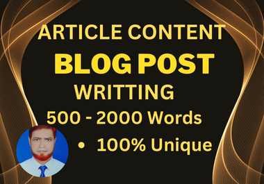 I will Publish 500 - 1000 words content writing on High DA Authority sites