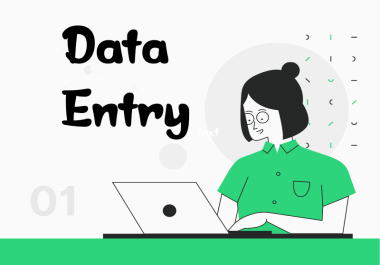 I am a professional data entry operator