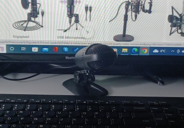 Text to Audio Conversion for Voice Over,  Multiple Languages,  Multiple Voices