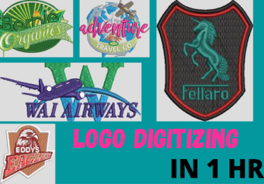 I am a professional wilcom embroidery digitizer