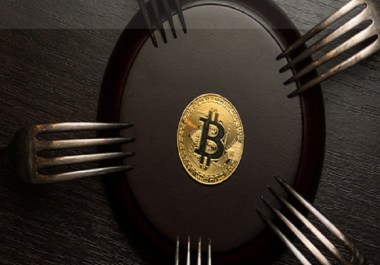 I will develop forex robot ea or an indicator for mt4 or mt5