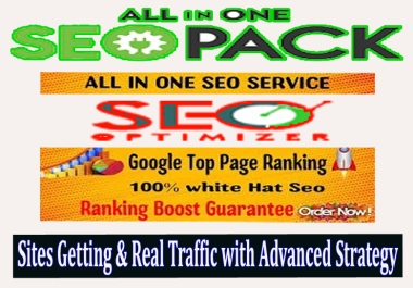 Best Organic 2024 New All in one SEO Manual Link Building Package Website Rank