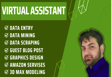 Are you looking for a Virtual Assistant