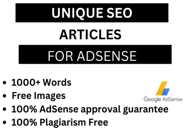 I will create 1000+ words SEO Article or Blogs for your niche site