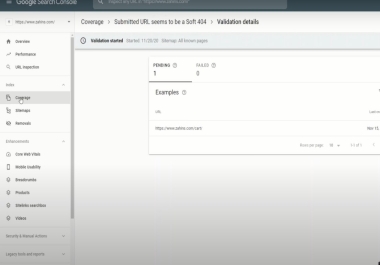 I will fix google search console index problems or coverage errors