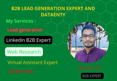 I will do b2b lead generation,  linkedin leads,  list building for targeted people