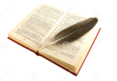 A professional essay 100-800 words