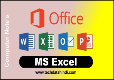 Data Entry MS Excel professional