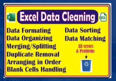 I will do Excel Data Cleaning and Formatting Pro and Fastest Service with Precision and Accuracy