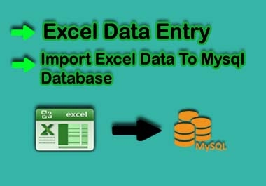 I will do Excel Data Entry for you