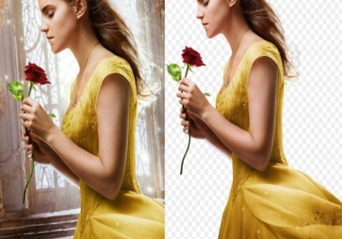 I will cut out image or background remove professionally
