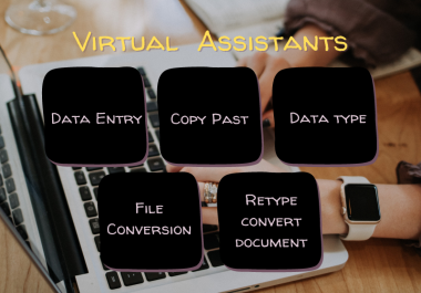 I will be your v/A for data entry work