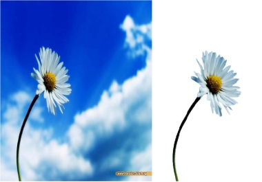 I will remove image background very fast