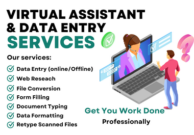 Expert Data Entry and Virtual Assistant for Copy Paste and Web Research