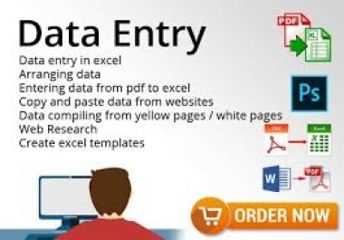 Data Entry Specialist Accurate and Efficient Input of Critical Information