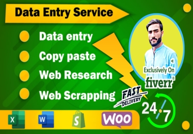 Comprehensive Data Entry Services for Web Scraping,  Data Collection,  Validation,  and Formatting
