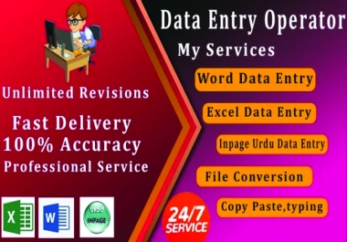 You will get excel data entry,  cleaning and formatting service