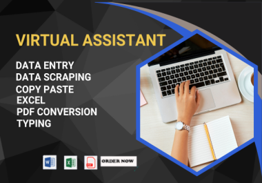 I will provide reliable data entry service,  copy paste,  and PDF to Word or Excel conversion