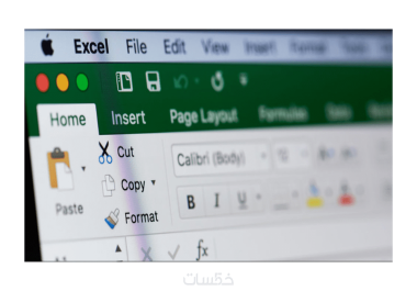 Accounting program using Excel