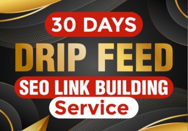 30 Days Seo Backlinks Dripfeed Rank Your Website On Google With Mannual LinkBuilding