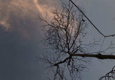 I&rsquo m an editor,  send me anything and I&rsquo ll edit it for you. It will be accordingly to your choice.