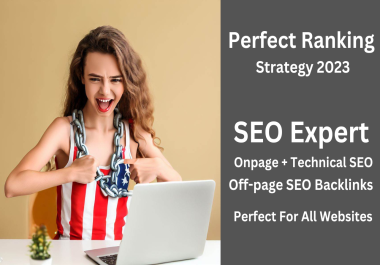 SEO Expert Rank your website on google No 1 page by all in SEO 2500+ backlinks