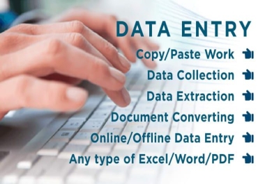 I will do data entry online or offline,  typing,  pdf to word,  excel