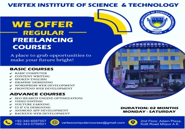 I will design professional posters and illustrations for you