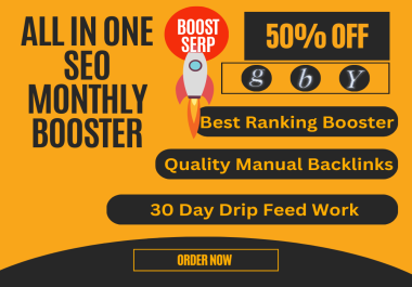 All in One SEO Monthly Booster,  Skyrocket yourwebsite