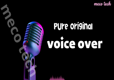 I Will Make A Professional American Male Voice Over Up To 1500 Words - Weekly Offers