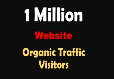 Skyrocket Your Website's Success Access 1 Million Quality Real Human Visitors