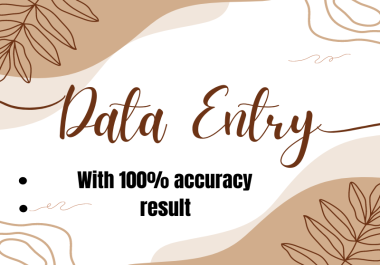 Professional and faster data enry operater