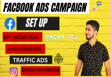 I will set your ppc ads campaigns
