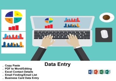 Spreadsheet Data Entry Word Excel Experts