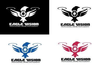 I will create a professional Flat Minimalist Logo design in 24hrs