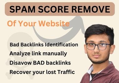 I will disavow bad backlinks and remove your website