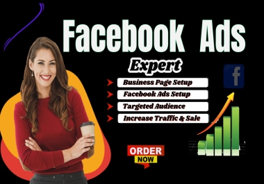 I will do your facebook and instagram ads campaign