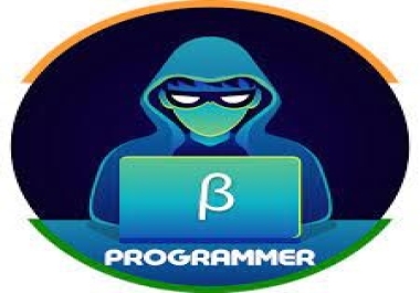 I will do accurate and lightning fast excel work