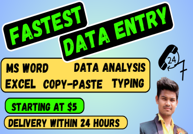 I will do fastest data entry data entry within 24 hours
