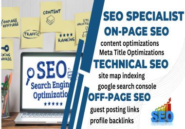 i will do Wordpress and Custom Coded Website On Page SEO